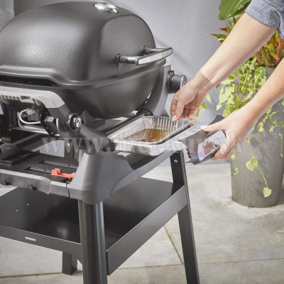 WEBER gril plynový Q 1200N