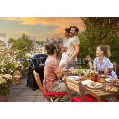 WEBER gril plynový Q 2200N