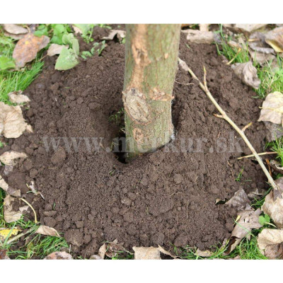 VARI PV 150 benzínový pôdny vrták