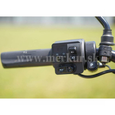 SELVO WORK 10 Li pracovná elektrická trojkolka