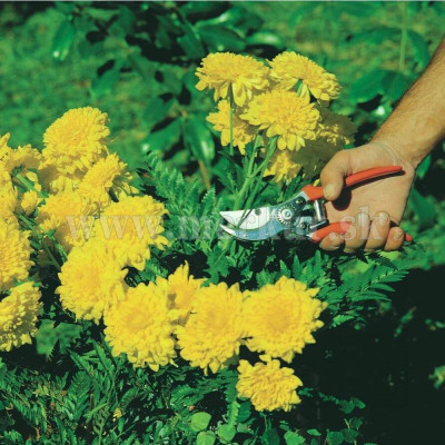 TRAMONTINA nožnice záhradné profesionálne
